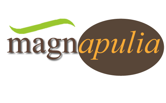 Magnapulia srl - Monopoli via Garibaldi 37